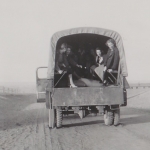 photo-archives
